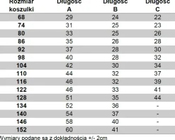 Body/koszulka z nadrukiem mój brat jest najlepszy