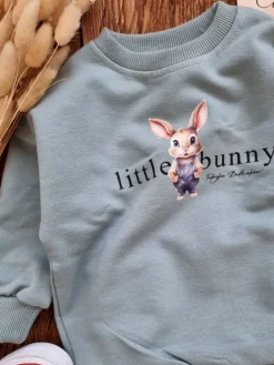 Komplet dla chłopca little bunny (bluza + spodnie)
