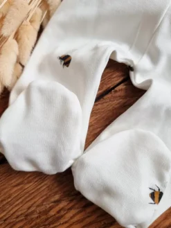 Półśpiochy niemowlęce pszczoły