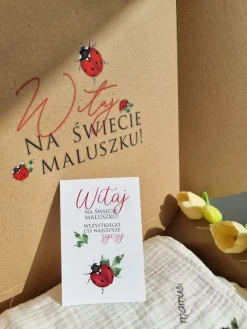 Zestaw wyprawkowy dla niemowlaka biedroneczki